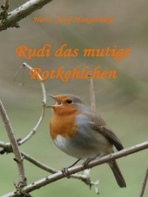 cover image of Rudi das mutige Rotkehlchen